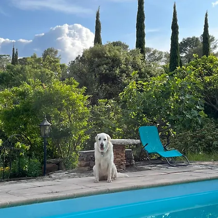 La Tranquille Roquebrune-sur Argens